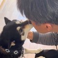 がん治療で入院して…