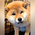 今にも泣きだしそう…