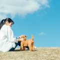 愛犬をもっと幸せに…