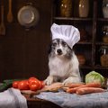 犬に与えないほうが…
