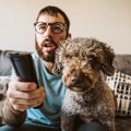 犬はテレビの内容を…