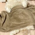 夫がくしゃみをした…