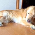 なんとなく撮影して…