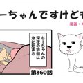 ちーちゃんですけど…