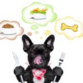 犬の肝臓に良い食べ…