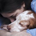愛犬との最期の過ご…
