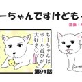  ちーちゃんですけど…