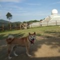 富士山が見える「道…