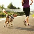 愛犬と一緒にできる…