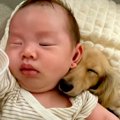 寝ている赤ちゃんに…