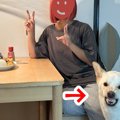 犬と一緒に写真を撮…