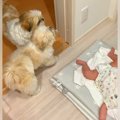 赤ちゃんがいきなり…