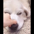 『鼻から音が出る』…