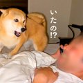 いるはずのない父を…