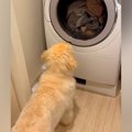 初めて家の中を歩き…