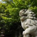 狛犬の役割と歴史に…