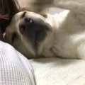 それでも離れない！…