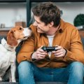 意外なことも？犬と…