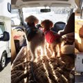 めざせ！キャンカ犬…