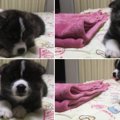 これなぁに？初めて…