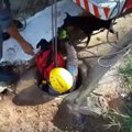 深～い穴に子犬が転…