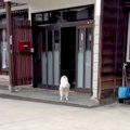 5時間外出→家に帰っ…