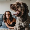 『犬好きな人』に多…