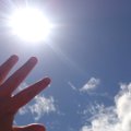 犬が肺水腫とは？そ…