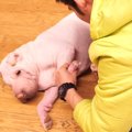 無抵抗すぎる！？大…