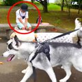 大型犬は『3ヵ月会っ…