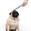 犬にとっての『嫌な…