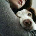 足が不自由な犬との…