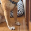 自宅のトイレが壊れ…