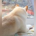 実家を出た兄を探し…