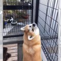 「それは反則でしょ…
