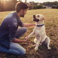 犬が言うことを聞く…