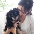 犬と一緒に居る部屋…