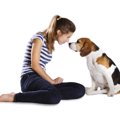 犬の『言葉』を読み…