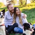犬は飼い主の顔を認…