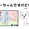 ちーちゃんですけど…