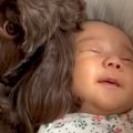 赤ちゃんが『生まれ…