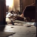 廃屋に隠れていた犬…