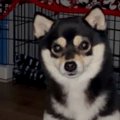 深夜1時、不審な物音…