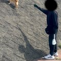 『急な斜面』を駆け…