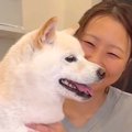動物病院の先生のこ…