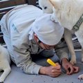 父が犬用の出入り口…