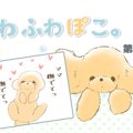 ふわふわぽこ。【第1…
