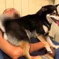 犬を抱っこしながら…