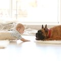 頼もしい相棒！犬が…