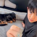 亡き愛犬に似た保護…